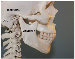 Years of experience treating TMJ dysfunction